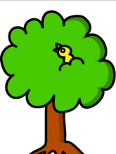 �����ی����l����